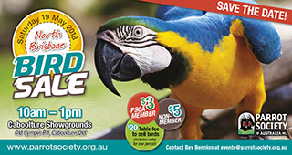 North Brisbane Bird Sale 2018