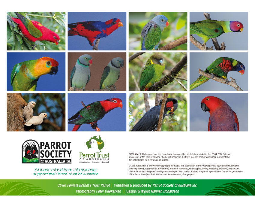 Parrot Trust of Australia 2017 Calendar