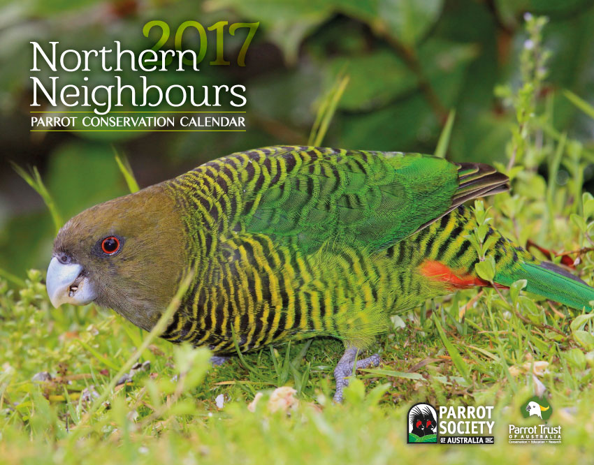 Parrot Trust 2017 Calendar